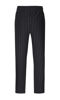 Dwg Franz pants strib