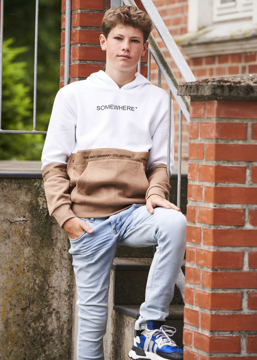 Hound Hoodie Cut & Sew