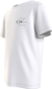 Calvin Klein Insttutional Logo Boxy T-shirt