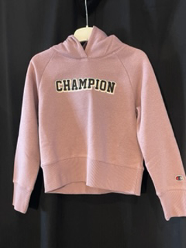 Champion Hooded Sweat