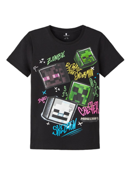 Name It Dagfin Minecraft Ss top