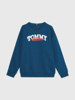 Tommy Hilfiger Graffiti Sweatshirt