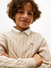TH Cotton Cable Sweater