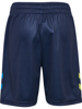 Hummel Shimmer Shorts