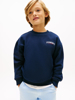 Tommy Hilfiger Graphic Sweatshirt