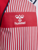 Hummel DBU Stripy T-shirt s/s