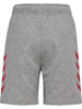 Hummel Reg DBU Shorts