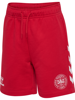 Hummel Reg DBU Shorts