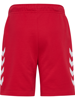 Hummel Reg DBU Shorts