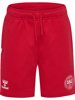Hummel Reg DBU Shorts