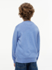 Tommy Hilfiger Crew Neck Sweater